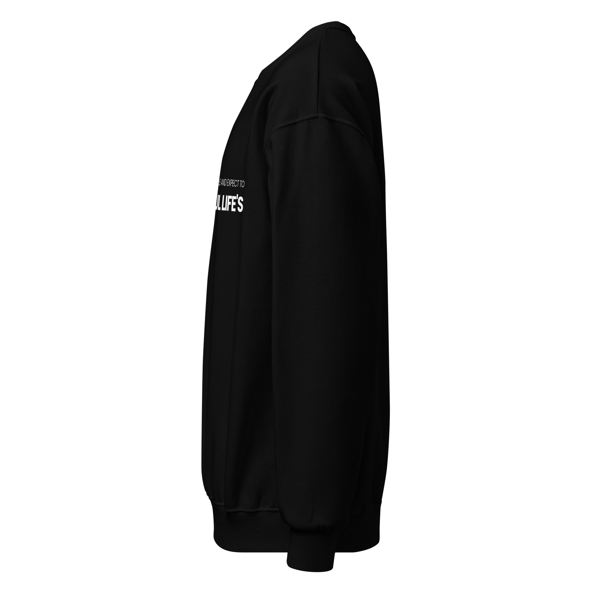 Crew neck sweatshirt - Image 6