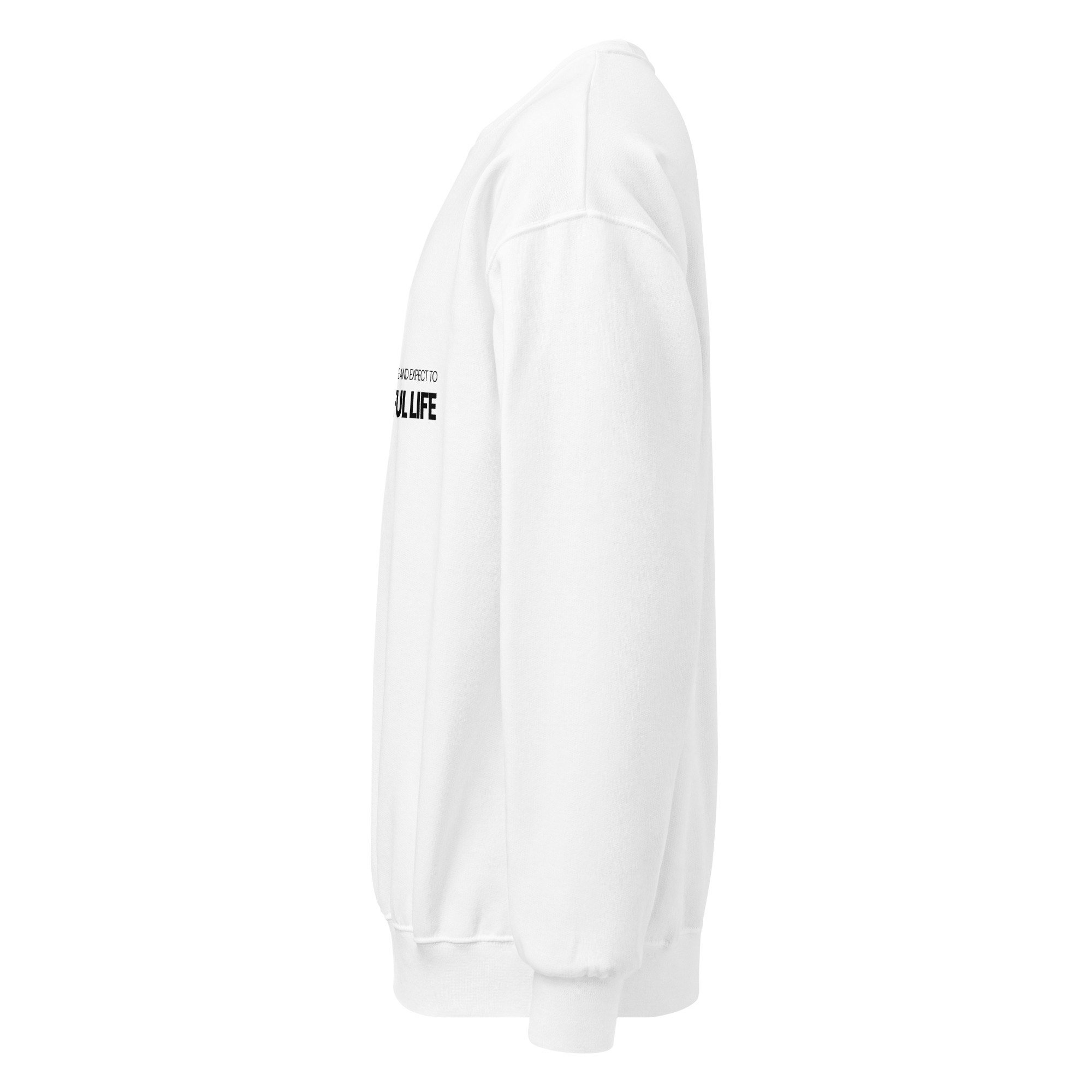 Crew neck sweatshirt - Image 14