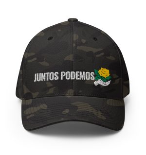 Structured Twill Cap