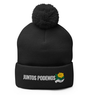 Pom-Pom Beanie