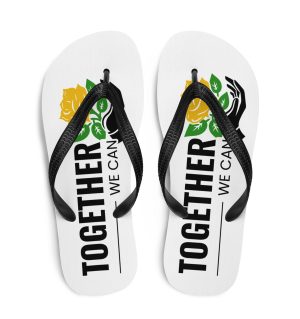 Flip-Flops