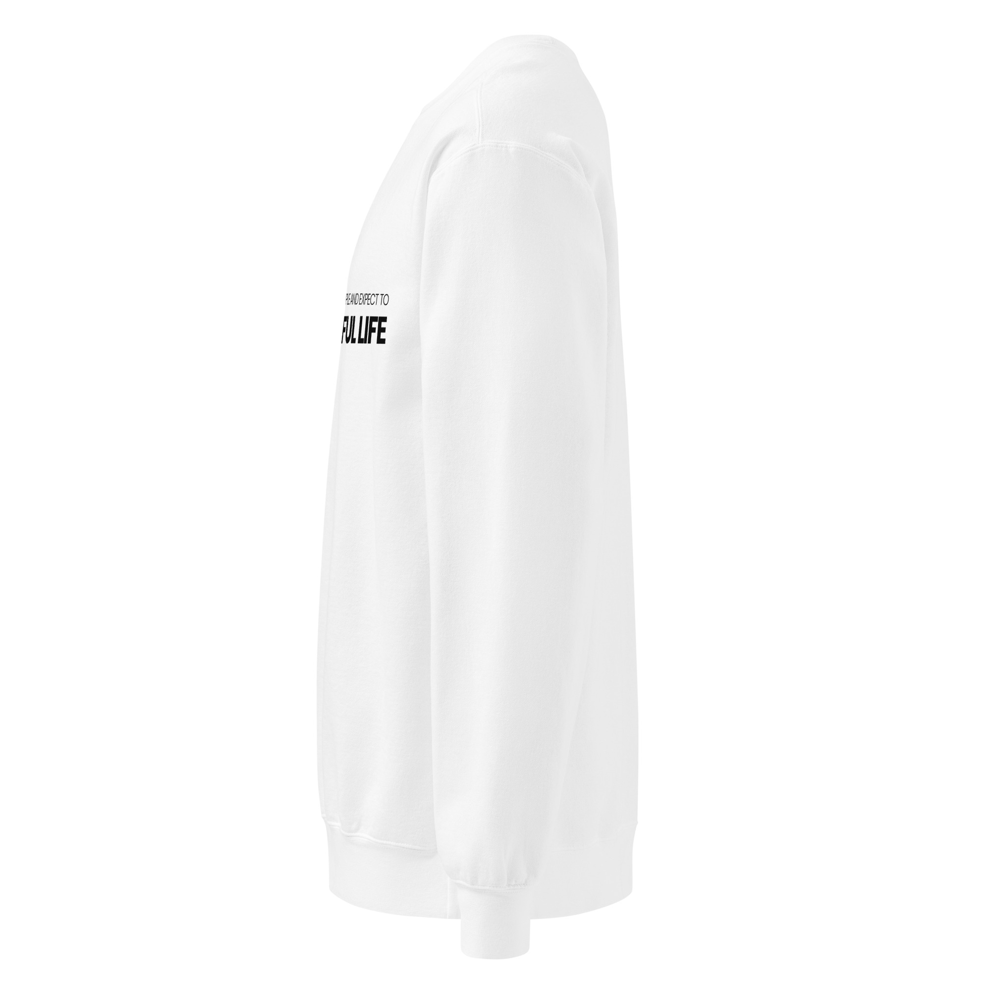 Unisex garment-dyed sweatshirt - Image 14