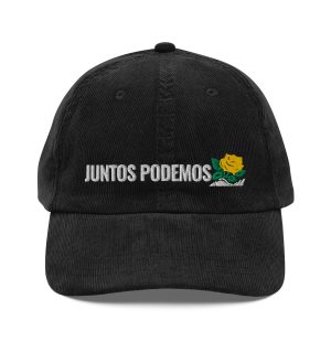 Vintage corduroy cap